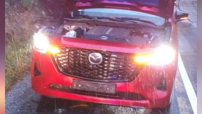 Auto se střetlo se zvěří u Brandýsa nad Orlicí. Hasiči radí, jak podobné situaci předejít, či jak při ní postupovat