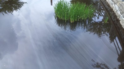 Hladinu řeky Chrudimky v Hlinsku pokryla neznámá látka