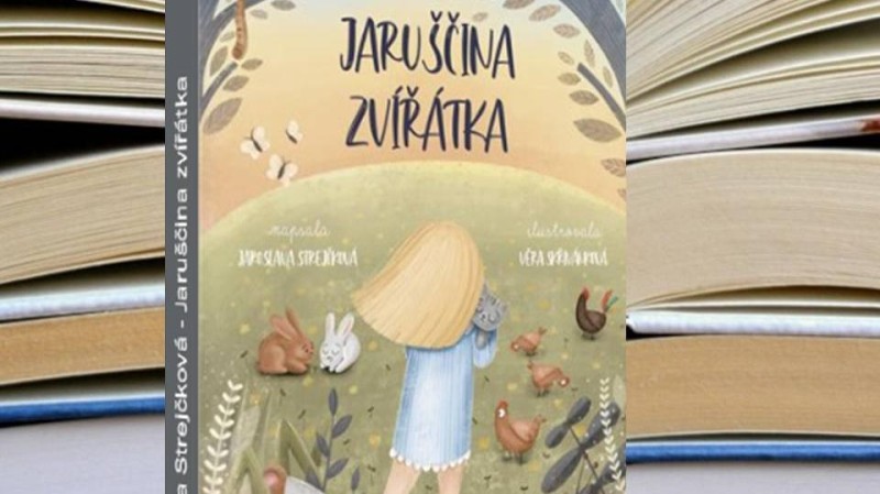 Ilustrační foto CCO