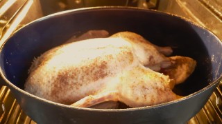 ilustračn&iacute; foto zdroj e-den&iacute;ky