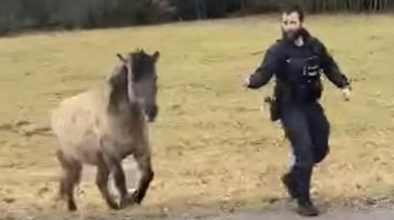 foto: výřez z videa Policie ČR