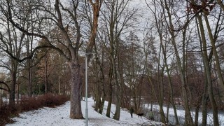 Strom ohrožoval chodce a cyklisty na stezce podél Chrudimky v Pardubicích