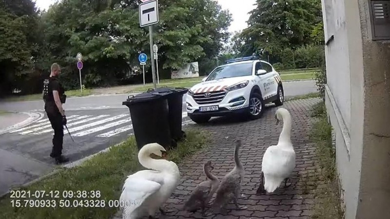 zdroj Městská policie Pardubice