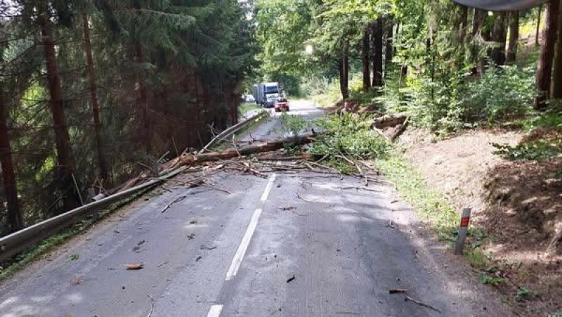 spadlý strom v Hejnicích foto zdroj HZS Pardubický kraj
