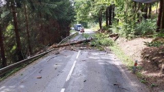 Kvůli vichru hasiči tasili motorové pily. Stromy padaly na silnici, železnici i elektrické vedení, hořela tráva a bouralo se