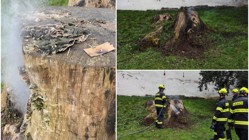 foto Městská policie Pardubice