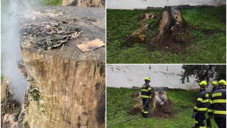 foto Městská policie Pardubice