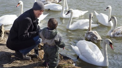 Střední Evropu, včetně Česka, čeká extrémně teplý Silvestr