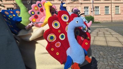 Pětadvacet plyšových pávů čeká na děti, budou o ně soutěžit na Dnu Pardubického kraje