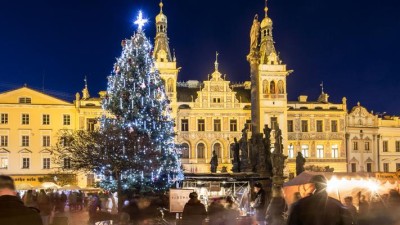 Hledá se jméno pro vánoční strom na Perštýnském náměstí