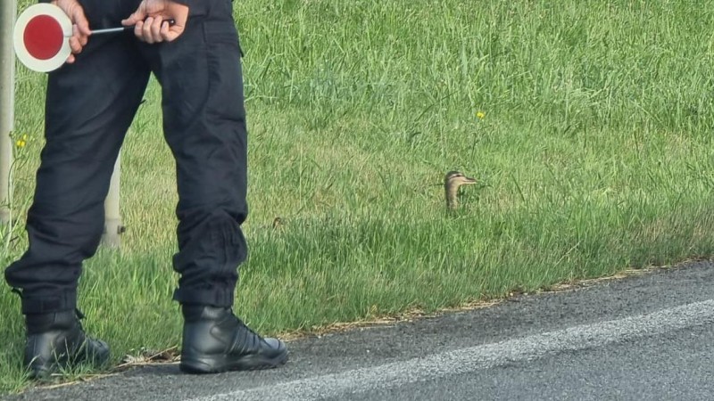 Zdroj: Policie.cz