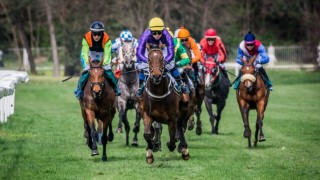 foto zdroj Dostihov&yacute; spolek Pardubice, autor Andrea Zavadilov&aacute;